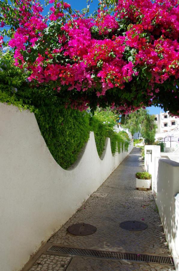 Holidays Albufeira - Ferias De Sonho מראה חיצוני תמונה